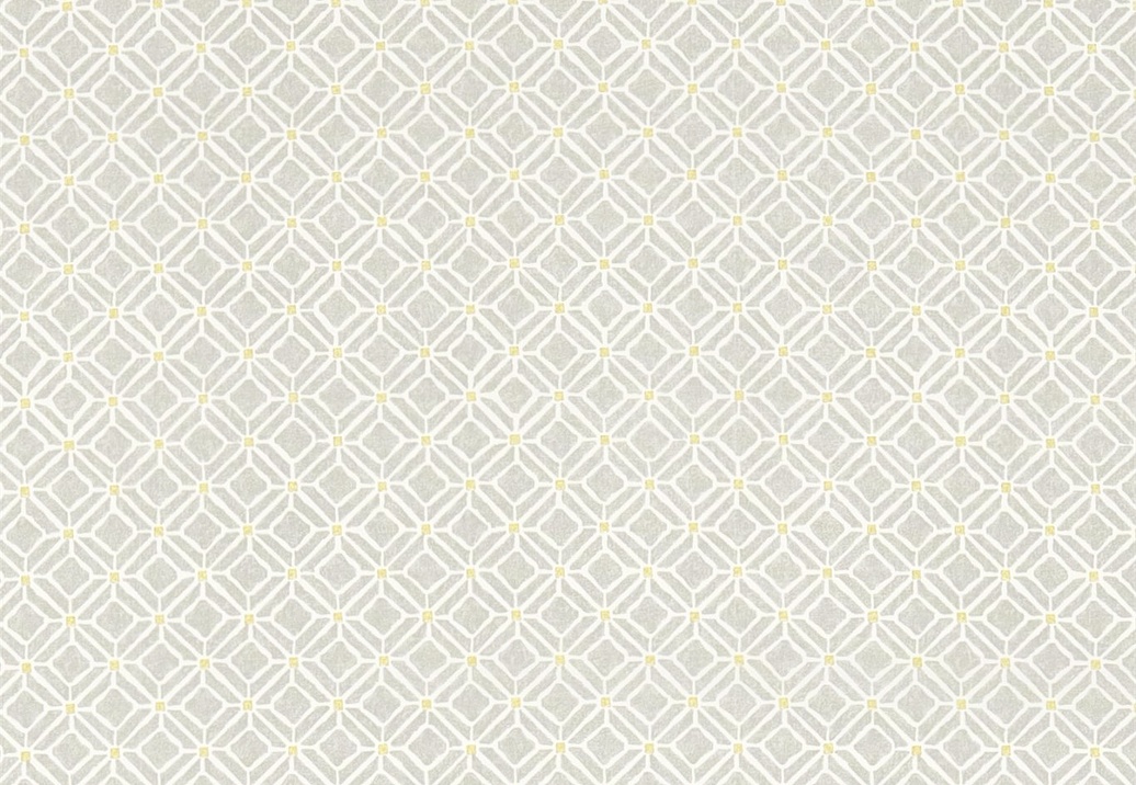 Ткань Sanderson Chika Prints 223589