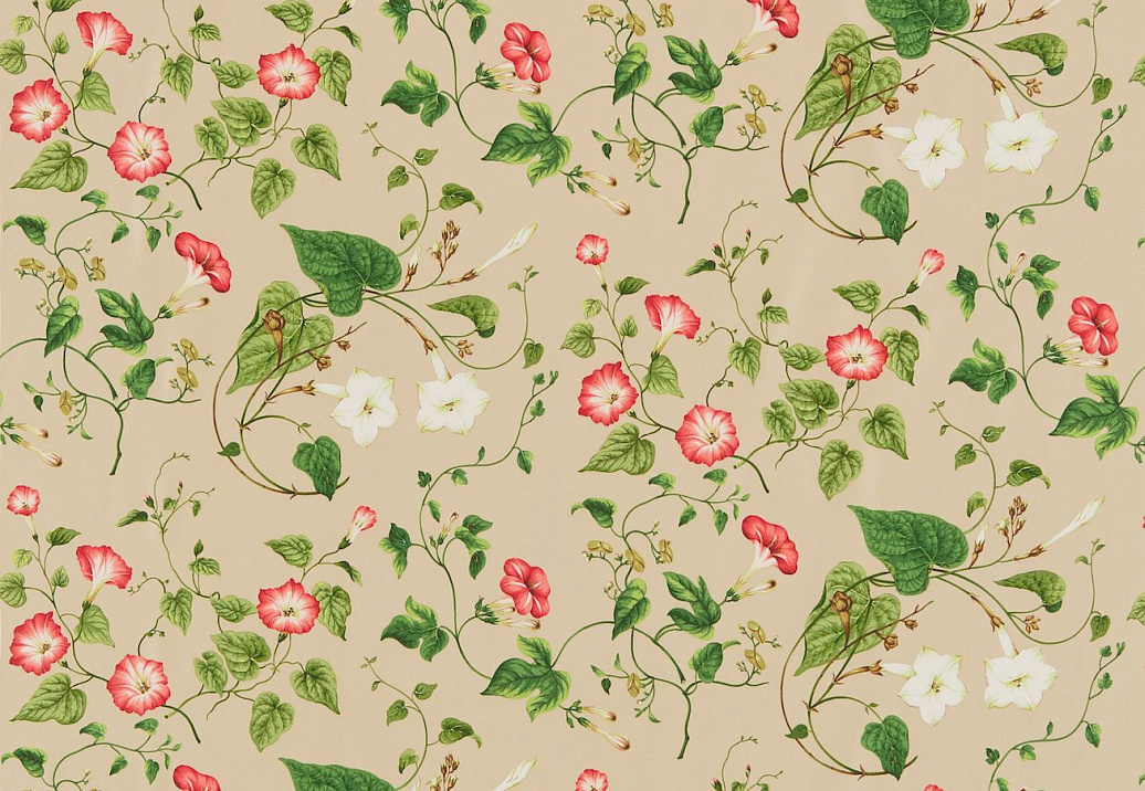 Ткань Sanderson Parchment Flowers DPFPMO201