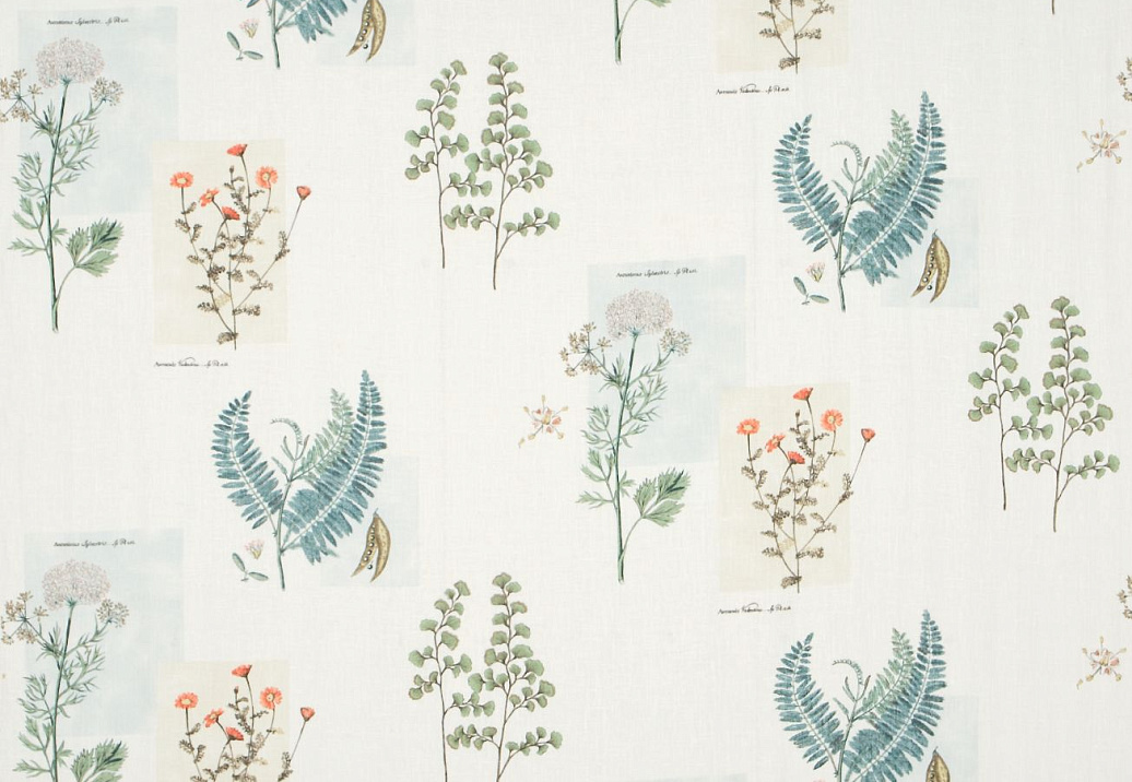 Ткань Sanderson Parchment Flowers DPFPPF203