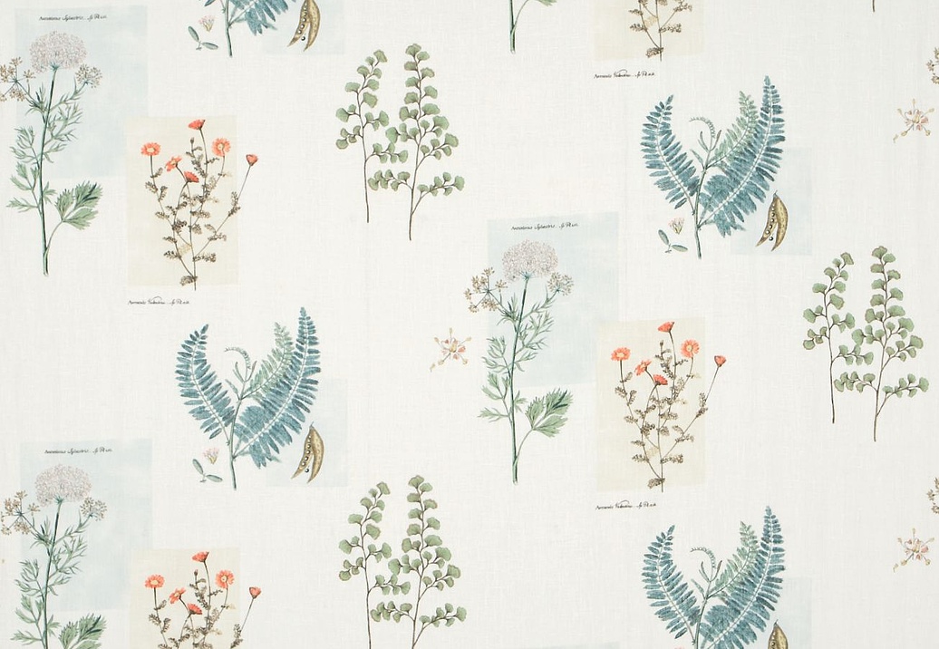 Ткань Sanderson Parchment Flowers DPFPPF203