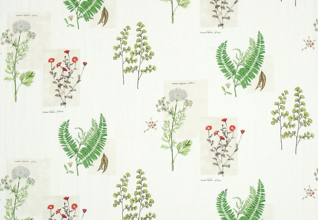 Ткань Sanderson Parchment Flowers DPFPPF201