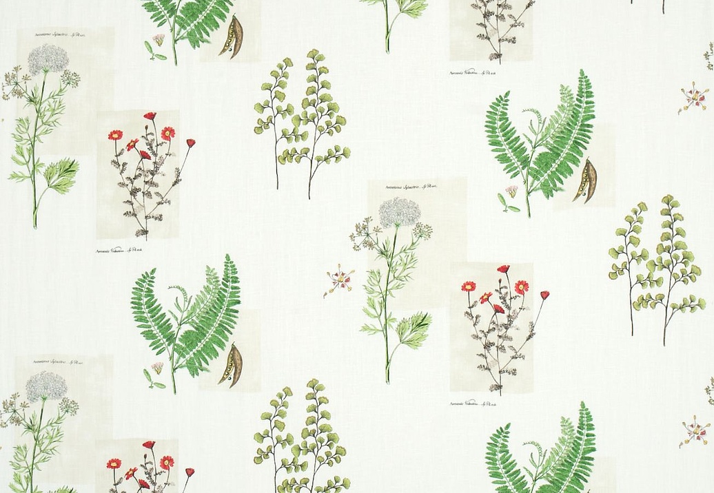 Ткань Sanderson Parchment Flowers DPFPPF201