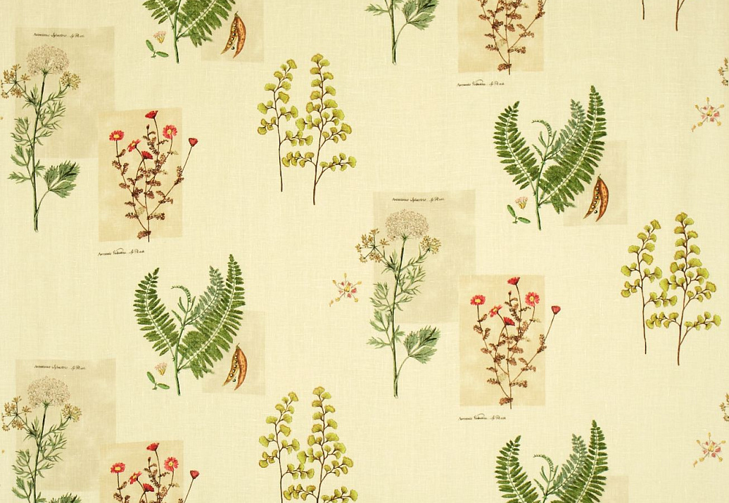 Ткань Sanderson Parchment Flowers DPFPPF202