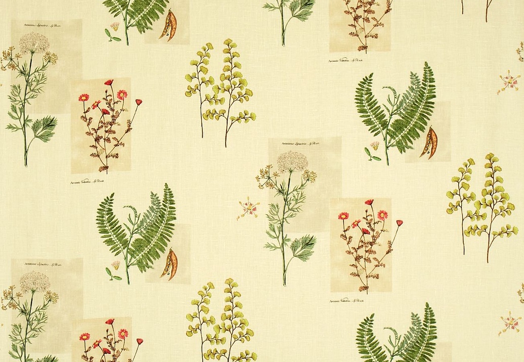 Ткань Sanderson Parchment Flowers DPFPPF202