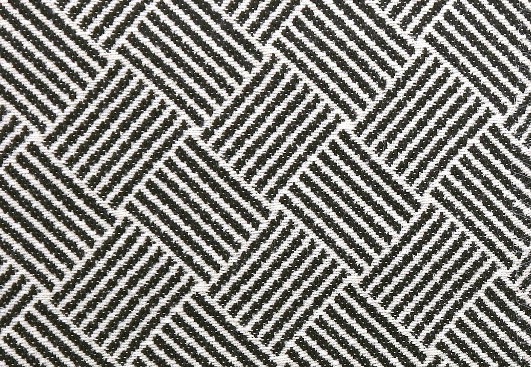 Ткань Clarke & Clarke Black + White F0904/01