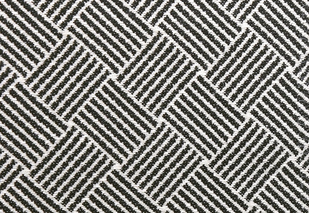 Ткань Clarke & Clarke Black + White F0904/01
