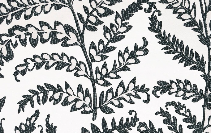 Английская ткань Clarke & Clarke, коллекция Black + White, артикул F0488/01