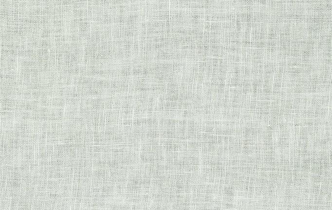 Английская ткань Designers Guild, коллекция Moselle, артикул F1488/01