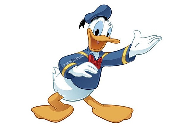 Обои York Disney II RMK1512GM