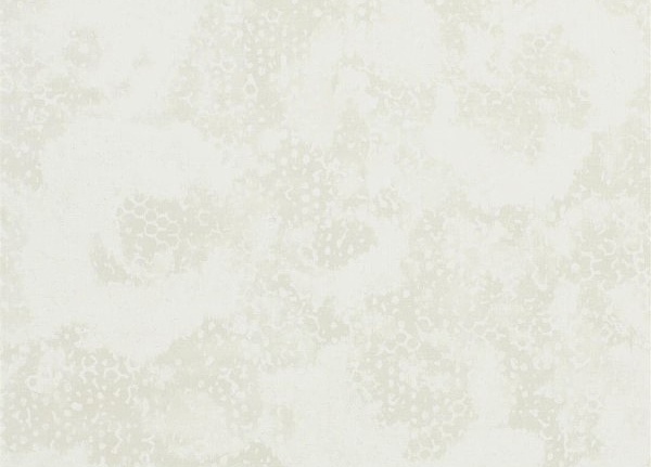 Обои Designers Guild Palasini PDG647/01