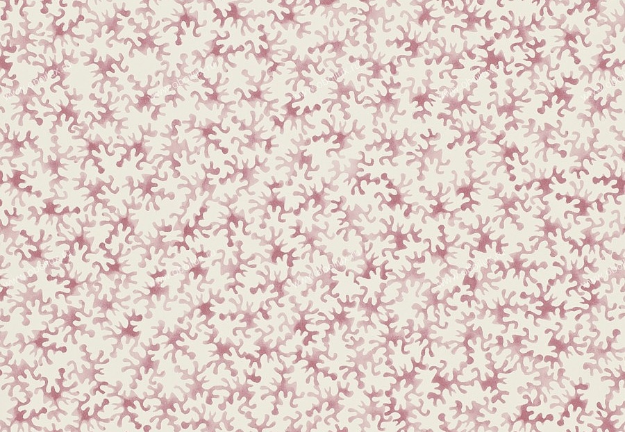 Обои Sanderson Emma Bridgewater 213628