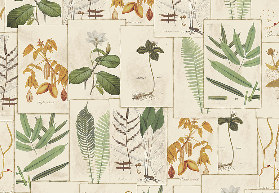 Панно и фотообои Vervain Barry Dixon 9WB112/01