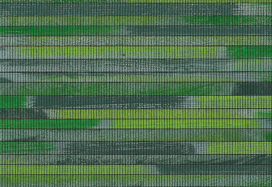 Обои Casamance Manado 70241013