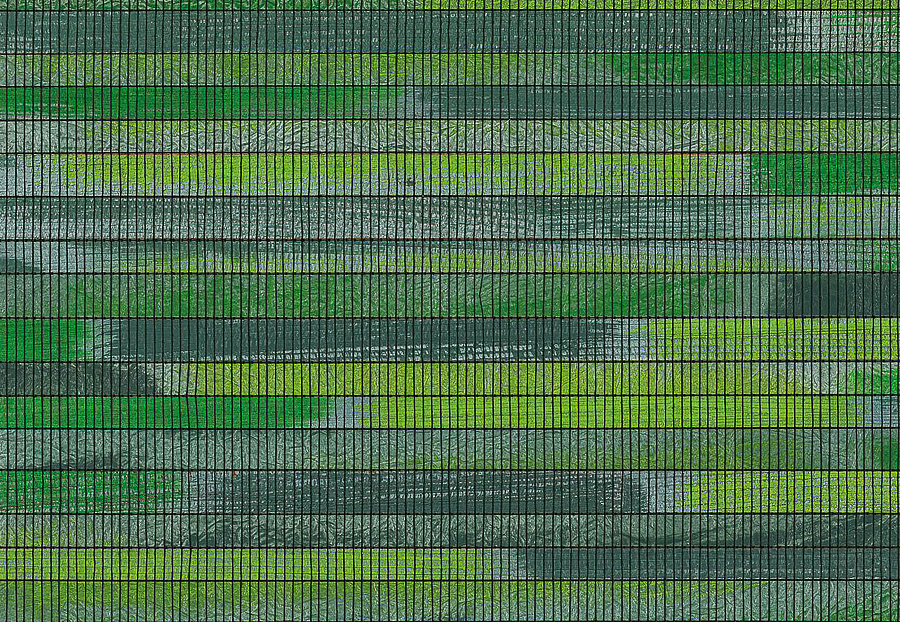 Обои Casamance Manado 70241013