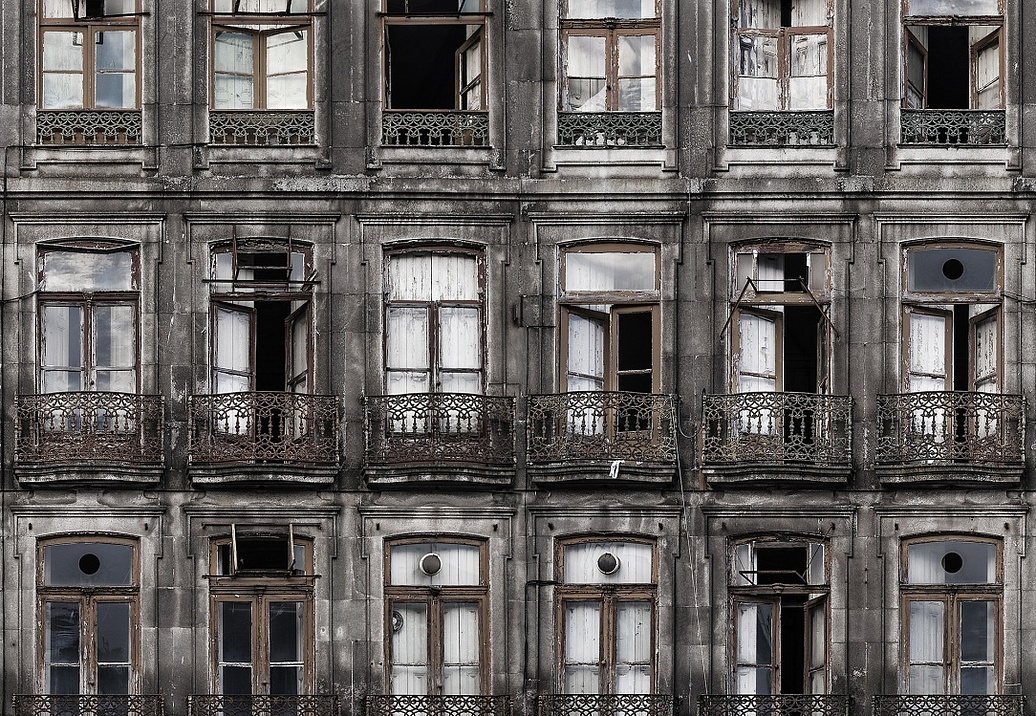 Панно и фотообои Rebel Walls No 7 Curious R14221