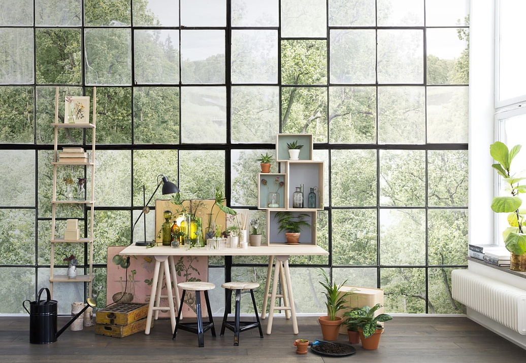 Панно и фотообои Rebel Walls No 7 Curious R14381