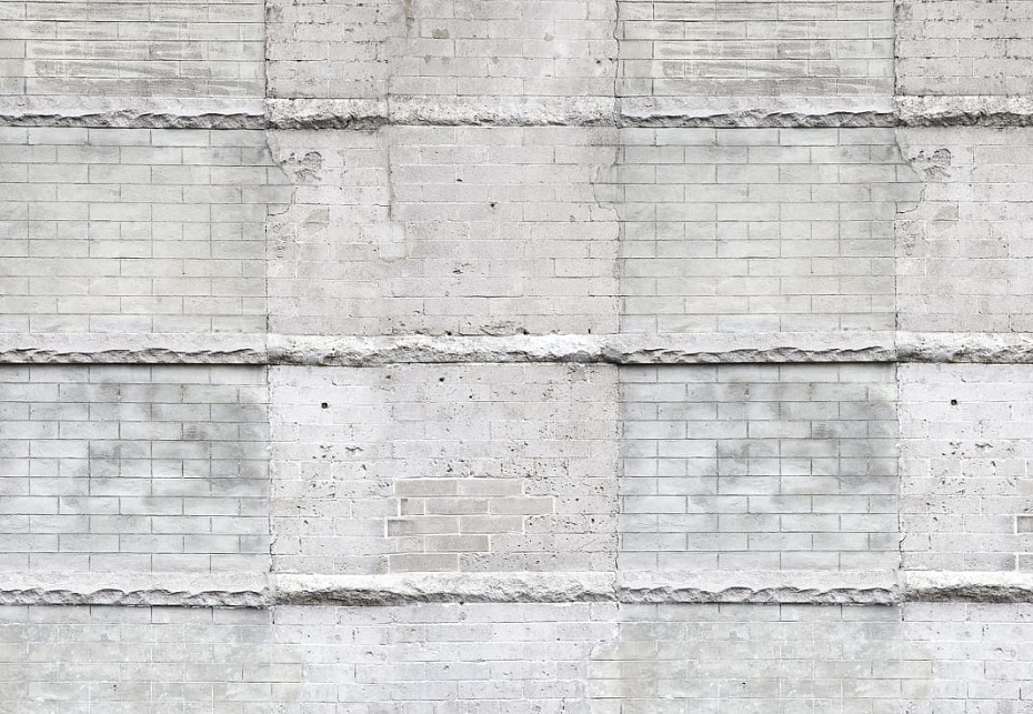 Панно и фотообои Rebel Walls No 7 Curious R14401