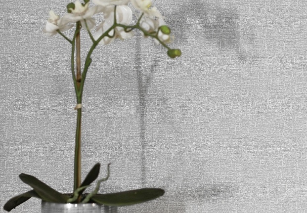 Обои Arthouse Textures Naturale 698007