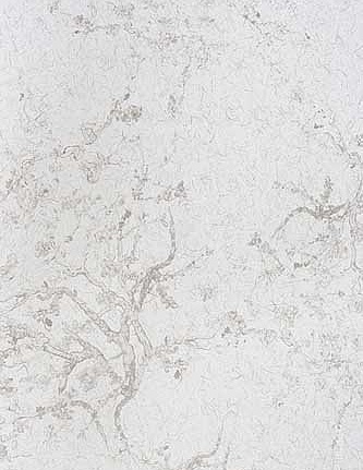 Обои KT-Exclusive Naturae 210/C01
