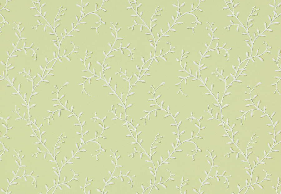 Обои Colefax and Fowler Small Designs 07137-01