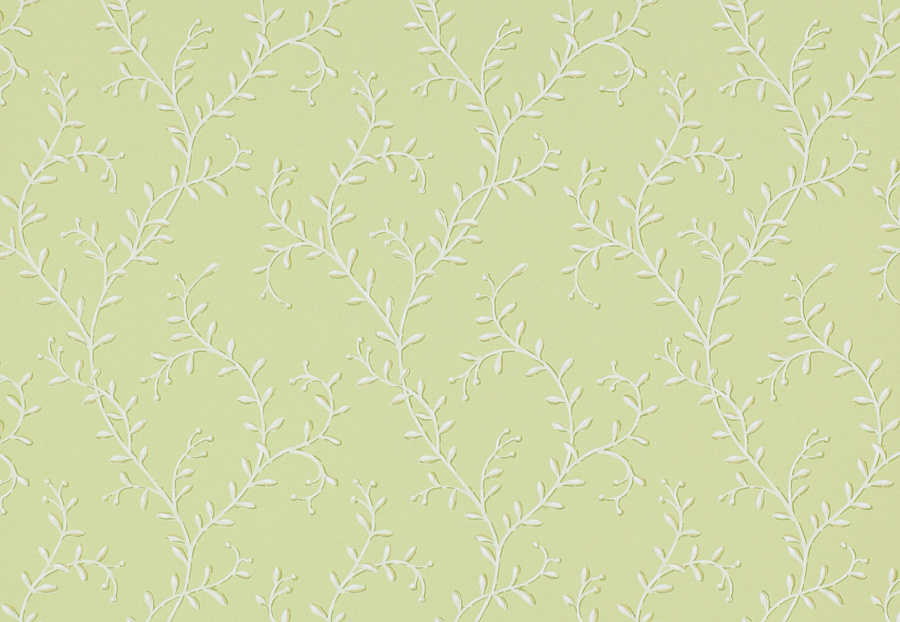 Обои Colefax and Fowler Small Designs 07137-01