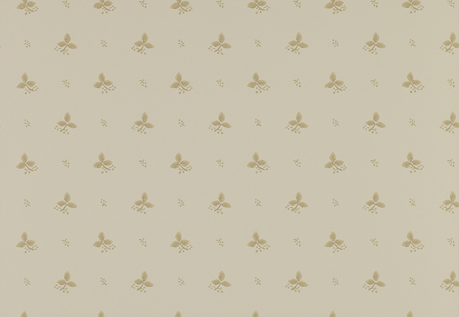 Обои Colefax and Fowler Small Designs 07406-01