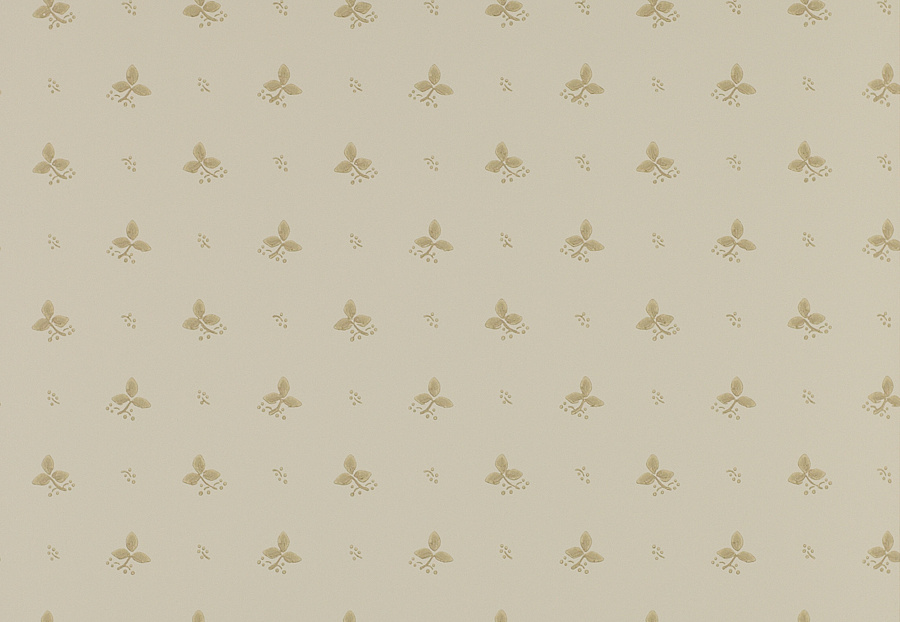 Обои Colefax and Fowler Small Designs 07406-01