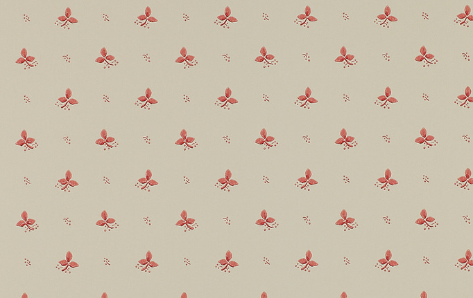 Английские обои Colefax and Fowler, коллекция Small Designs, артикул 07406-04