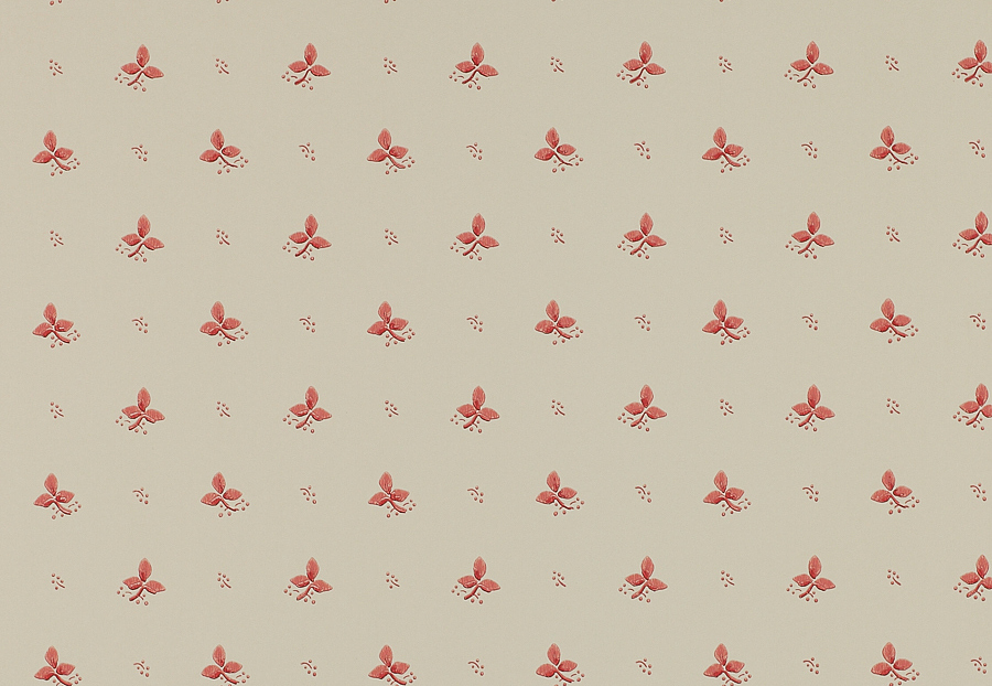 Обои Colefax and Fowler Small Designs 07406-04