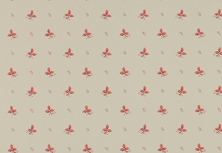 Обои Colefax and Fowler Small Designs 07406-04