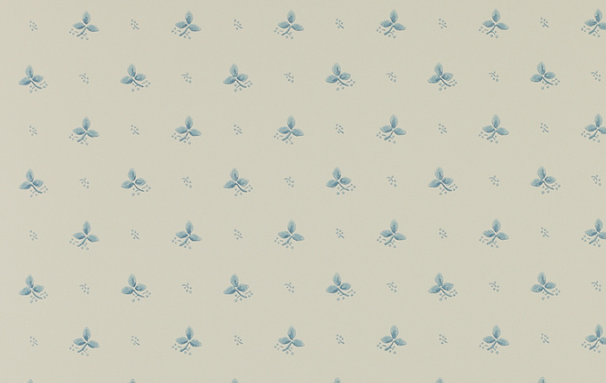 Английские обои Colefax and Fowler, коллекция Small Designs, артикул 07406-05