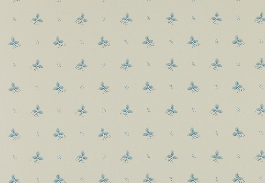 Обои Colefax and Fowler Small Designs 07406-05