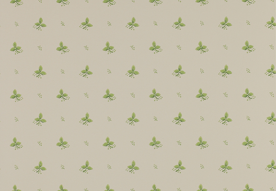 Обои Colefax and Fowler Small Designs 07406-06