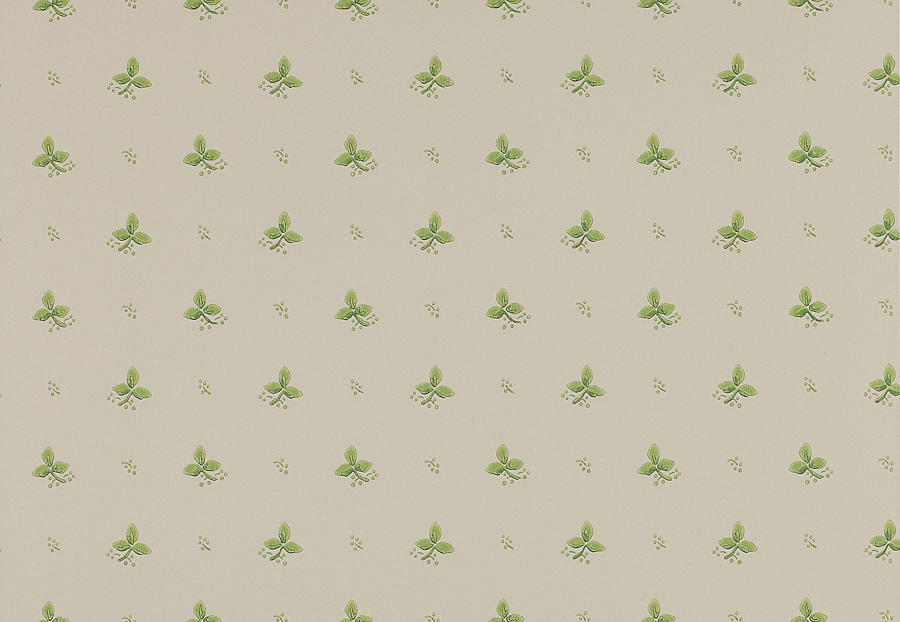 Обои Colefax and Fowler Small Designs 07406-06