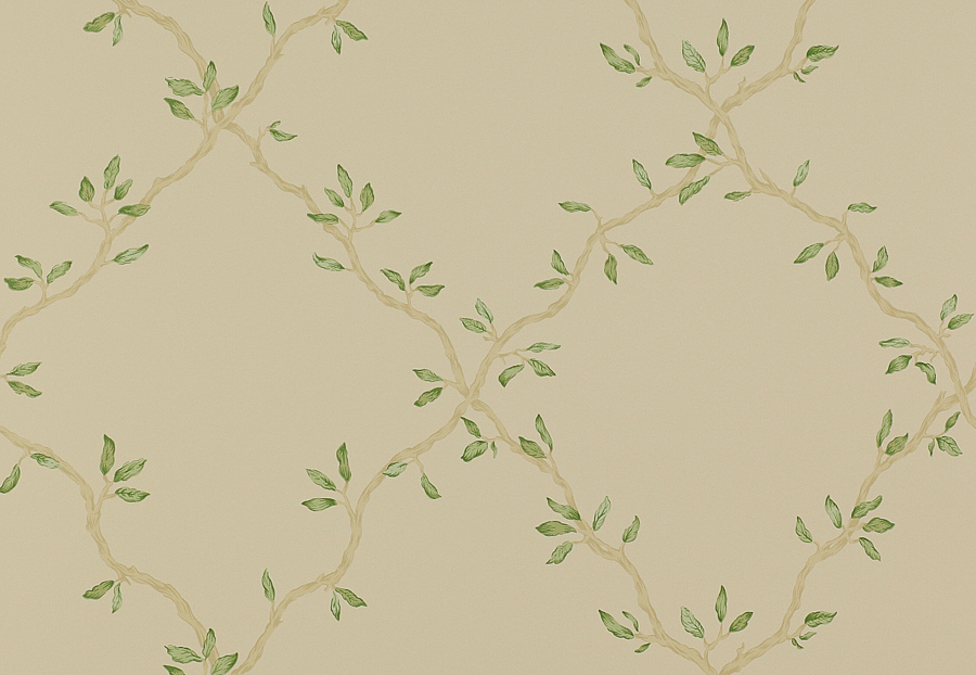 Обои Colefax and Fowler Small Designs 07706-01