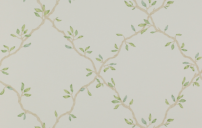 Английские обои Colefax and Fowler, коллекция Small Designs, артикул 07706-03