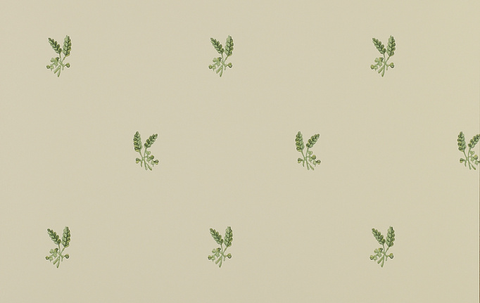 Английские обои Colefax and Fowler, коллекция Small Designs, артикул 07926-01