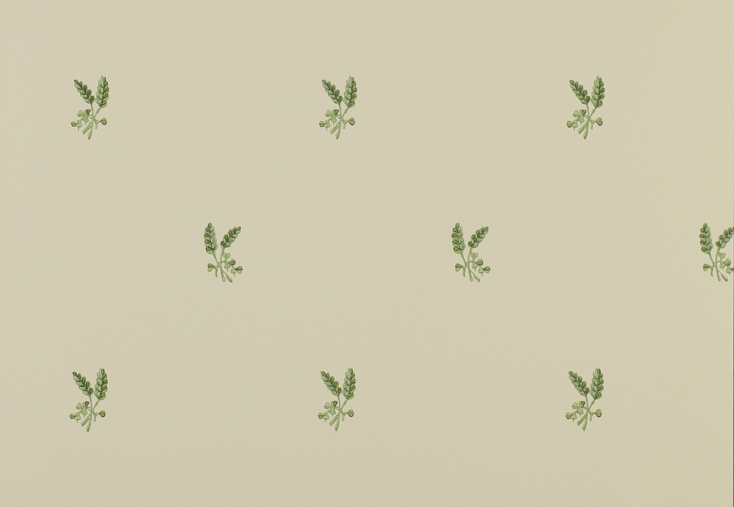 Обои Colefax and Fowler Small Designs 07926-01