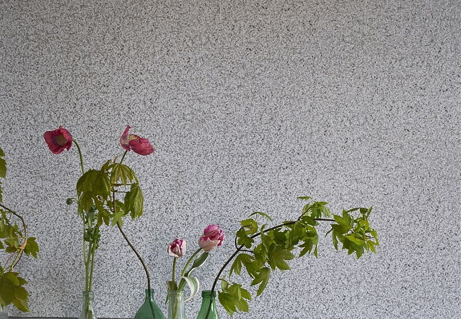 Обои Designers Guild Tulipa Stellata PDG1031/04