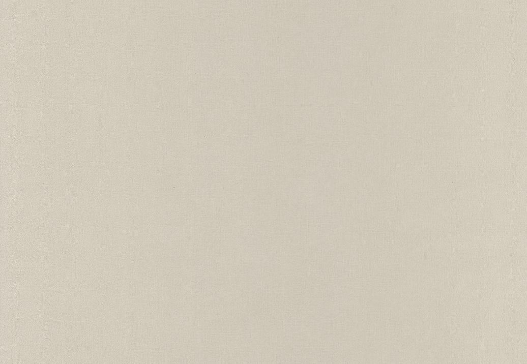 Обои Caselio Nos Gravures NGR64521010