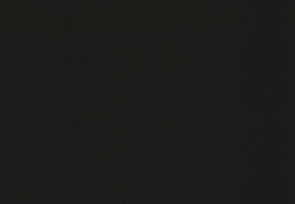 Обои Caselio Nos Gravures NGR64529800
