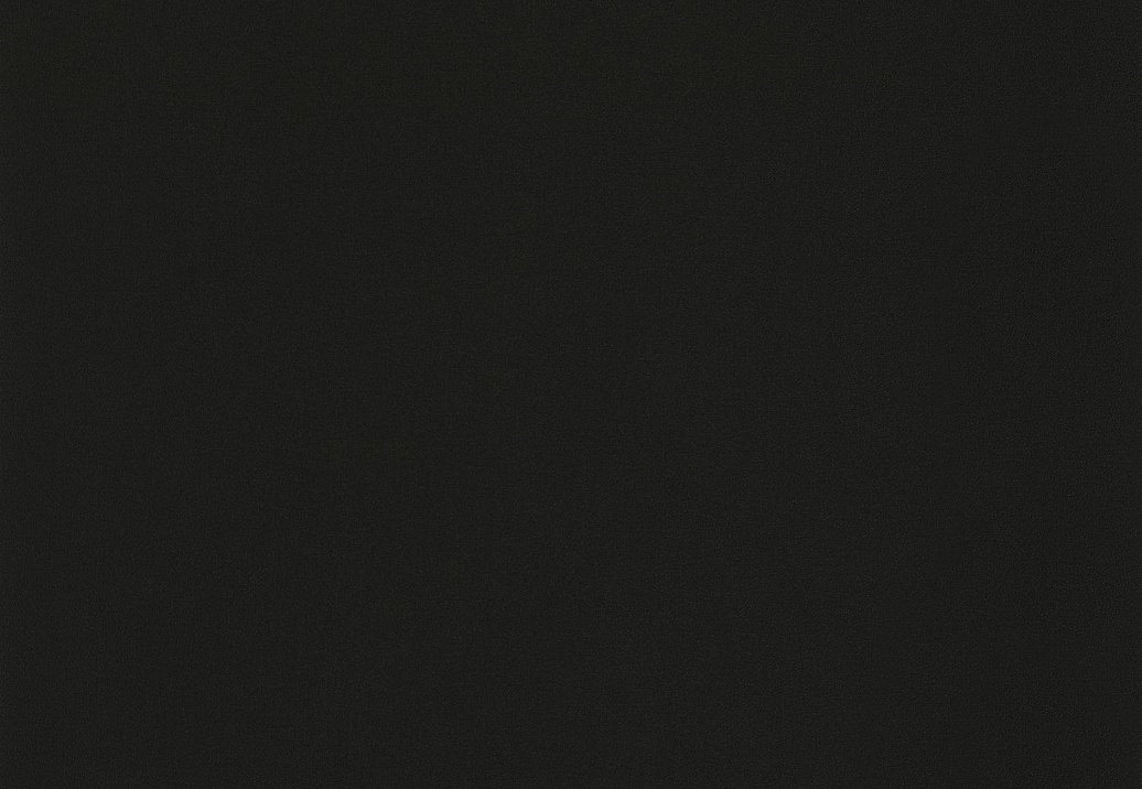 Обои Caselio Nos Gravures NGR64529800