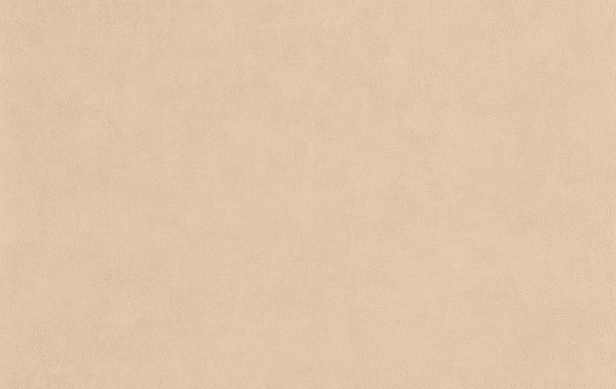 Французские обои Casadeco, коллекция Leathers, артикул LEAT87131311