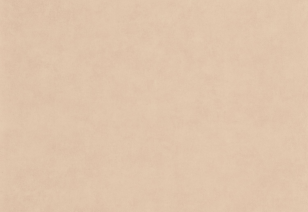 Обои Casadeco Leathers LEAT87131311