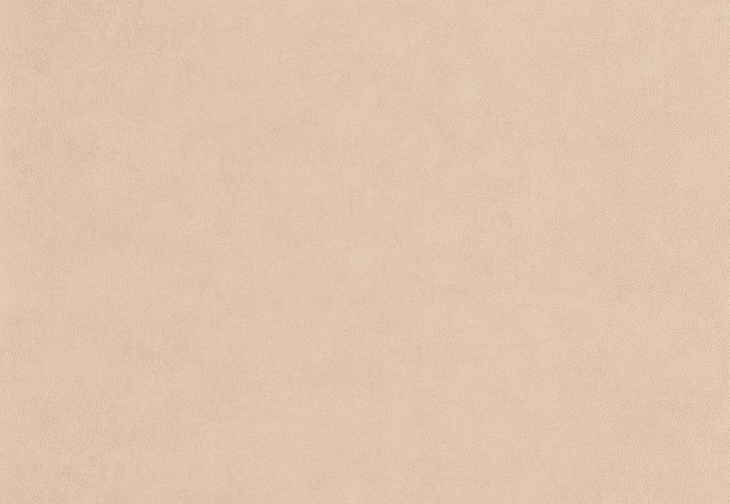 Обои Casadeco Leathers LEAT87131311