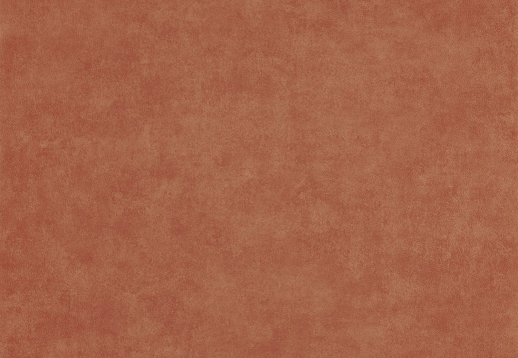 Обои Casadeco Leathers LEAT87132718