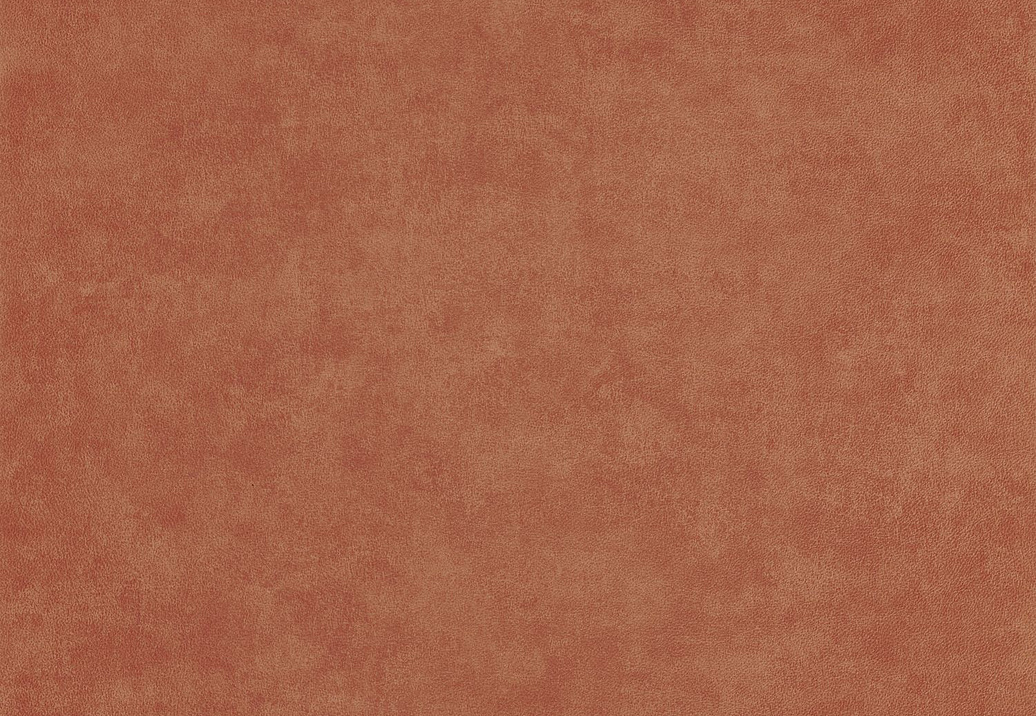 Обои Casadeco Leathers LEAT87132718