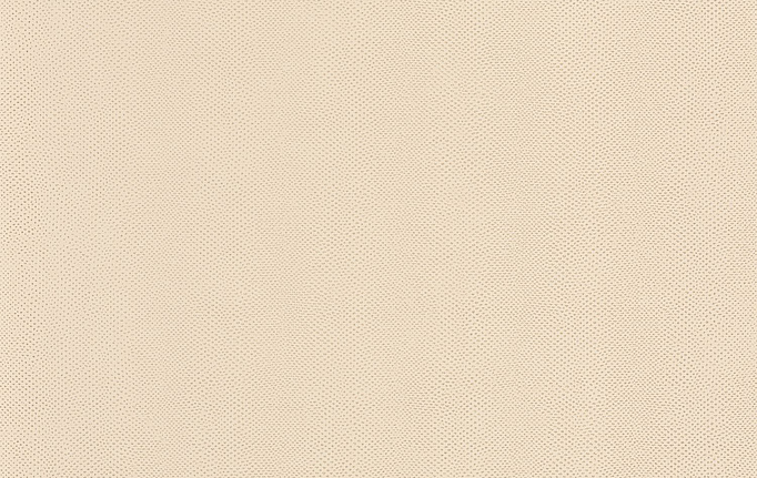 Французские обои Casadeco, коллекция Leathers, артикул LEAT87161203