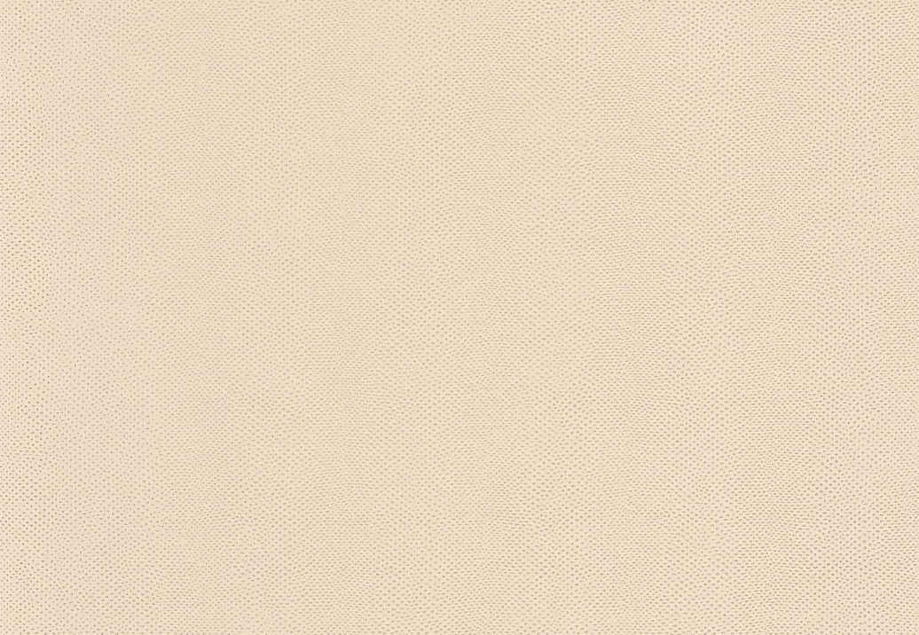 Обои Casadeco Leathers LEAT87161203
