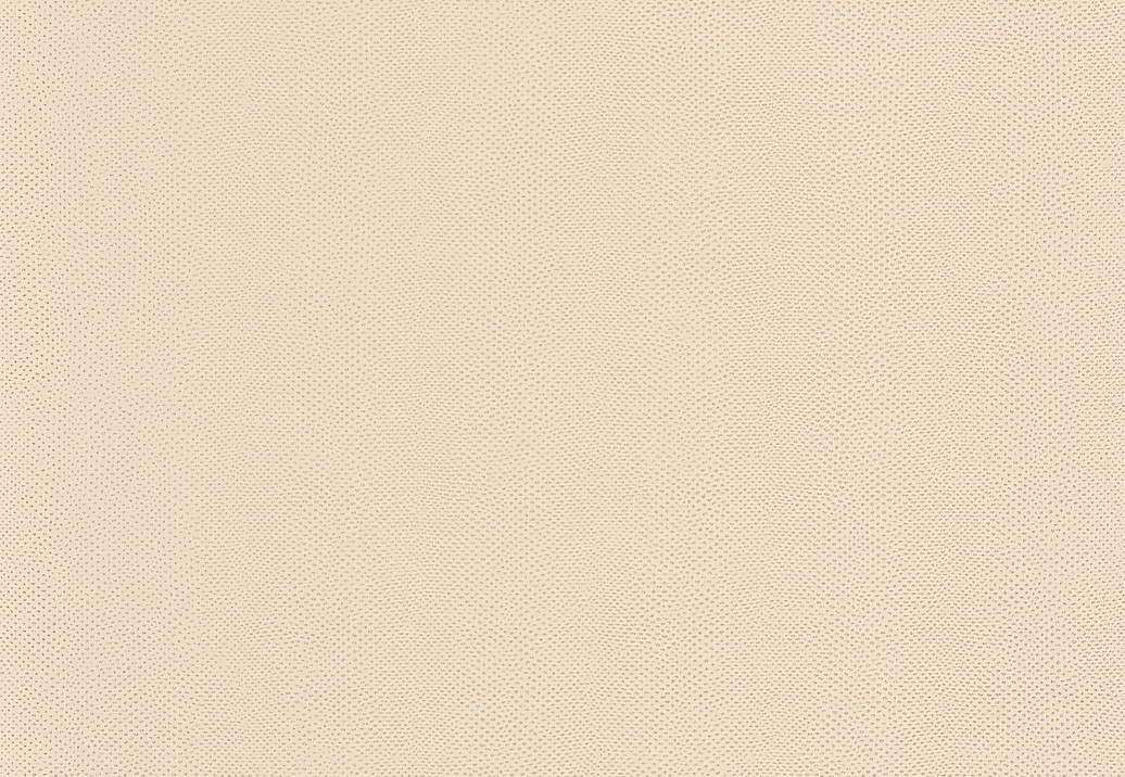 Обои Casadeco Leathers LEAT87161203